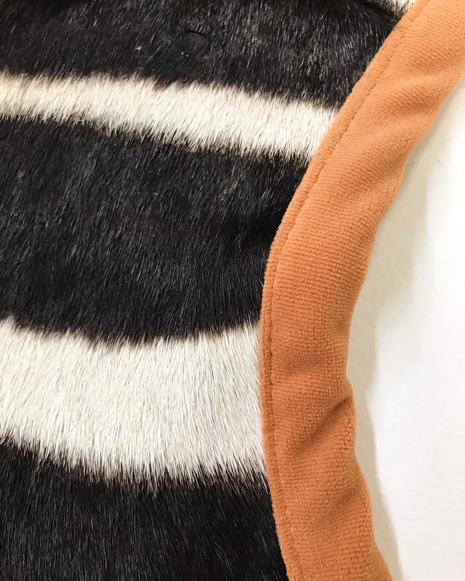 Zebra Hide Rug, Trimmed in Velvet - Image 3