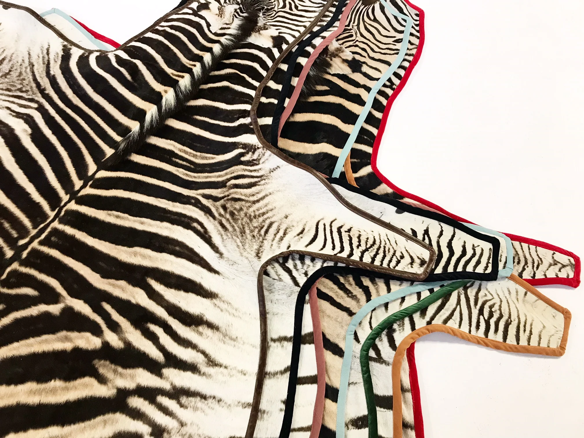 Zebra Hide Rug, Trimmed in Velvet - Image 7