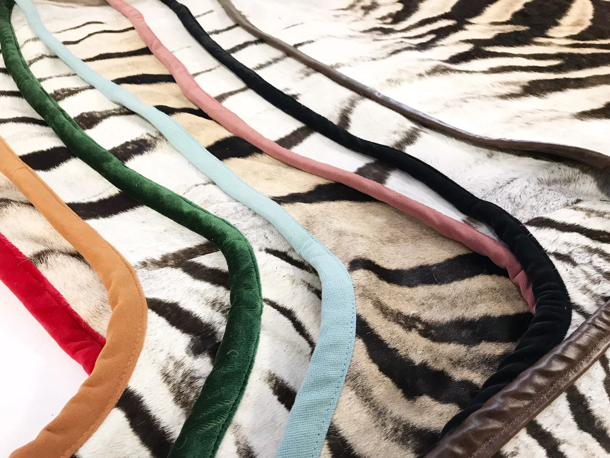 Zebra Hide Rug, Trimmed in Velvet - Image 8