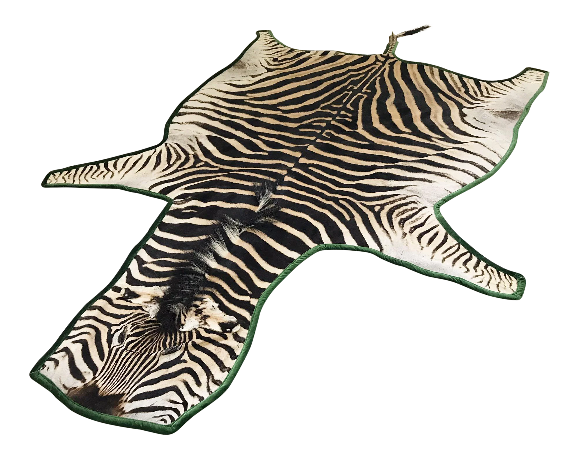 Zebra Hide Rug, Trimmed in Velvet - Image 9